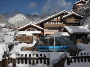 Résidence Les Edelweiss Champagny-En-Vanoise
